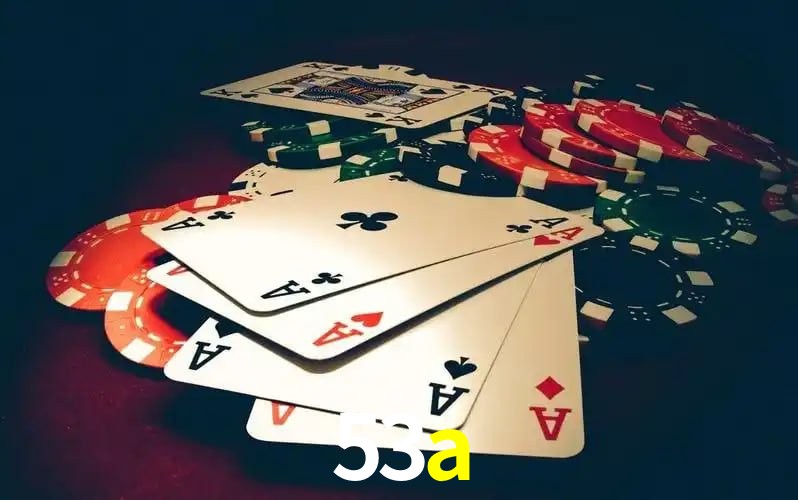 53a visual 2